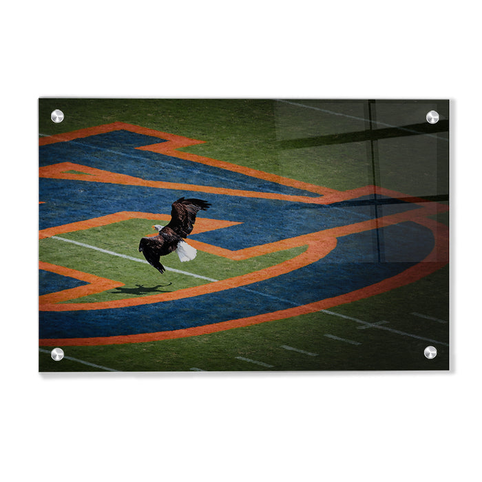 Auburn Tigers - War Eagle - College Wall Art #Acrylic