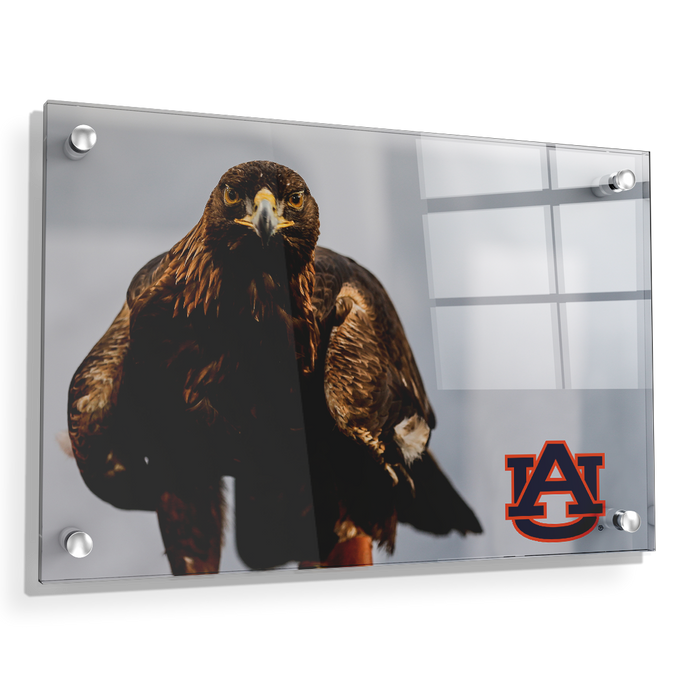 Auburn Tigers - War Eagle - College Wall Art#Acrylic