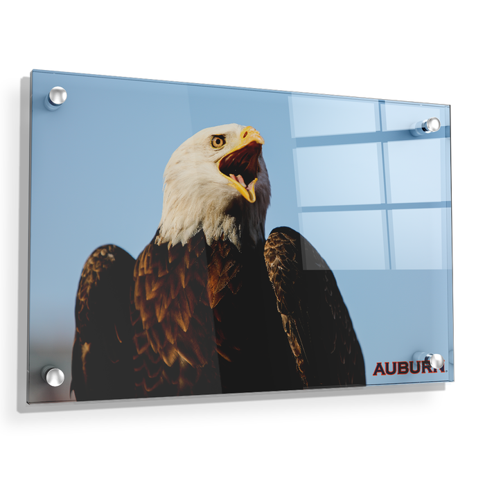Auburn Tigers - War Eagle - College Wall Art#Acrylic