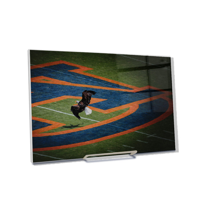 Auburn Tigers - War Eagle - College Wall Art #Acrylic Mini
