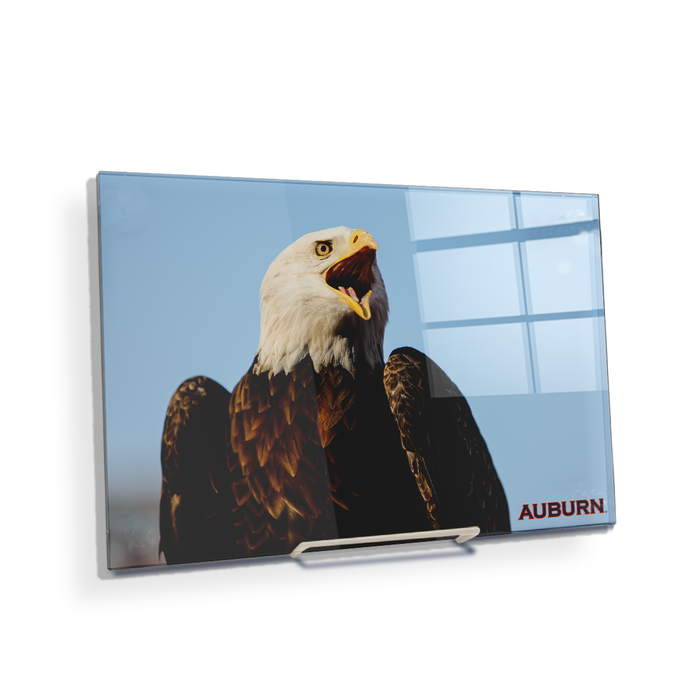 Auburn Tigers - War Eagle - College Wall Art#Acrylic Mini