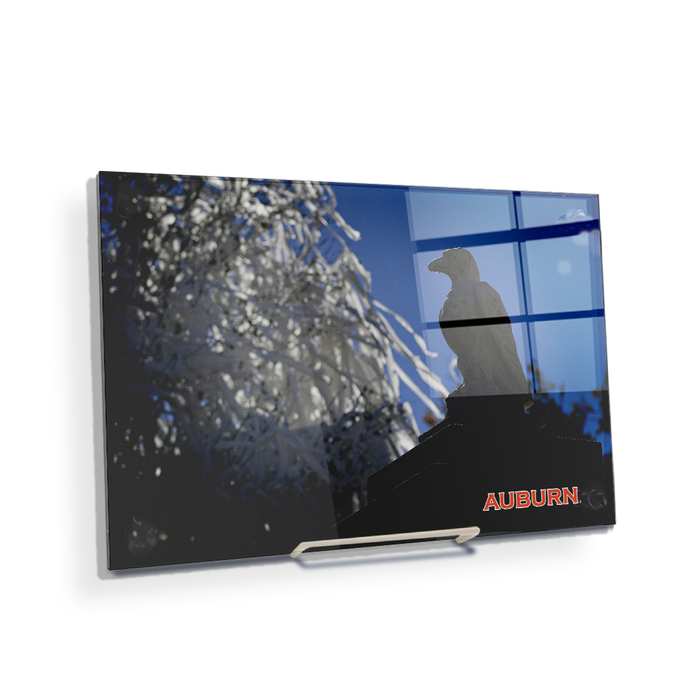 Auburn Tigers - Watchful Eye Toomers - College Wall Art#Acrylic Mini
