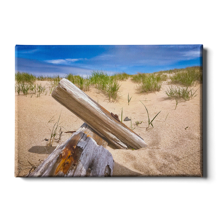 Cape Cod Sand Dune - College Wall Art