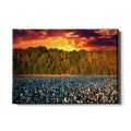 Cotton Field -College Wall Art #Canvas