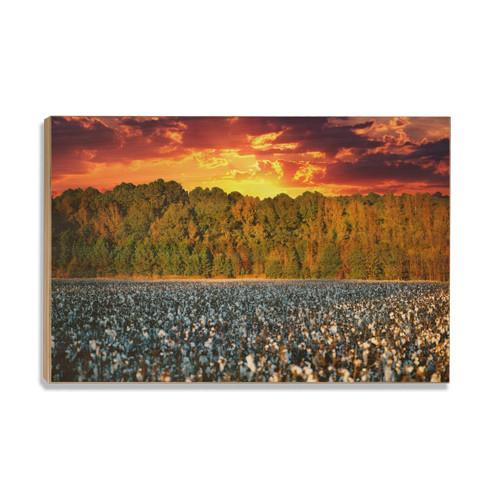 Cotton Field -College Wall Art #Wood
