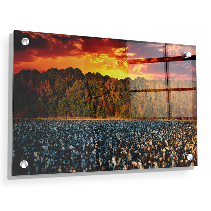 Cotton Field -College Wall Art #Acrylic