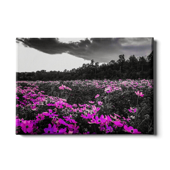Purple Fields - College Wall Art