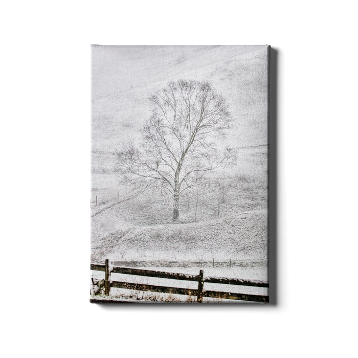 Snow Dusting - College Wall Art