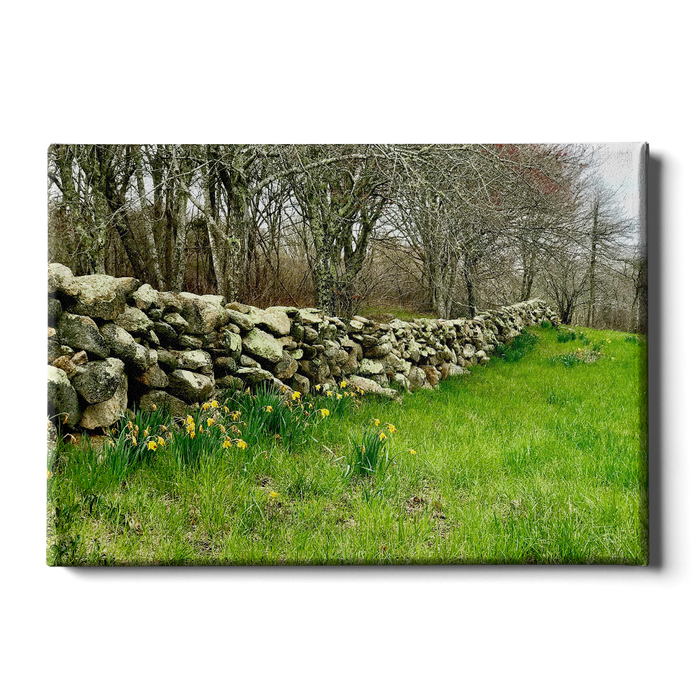 Stone Wall - College Wall Art