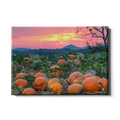 Sunset Pumpkin Patch - College Wall Art#Canvas