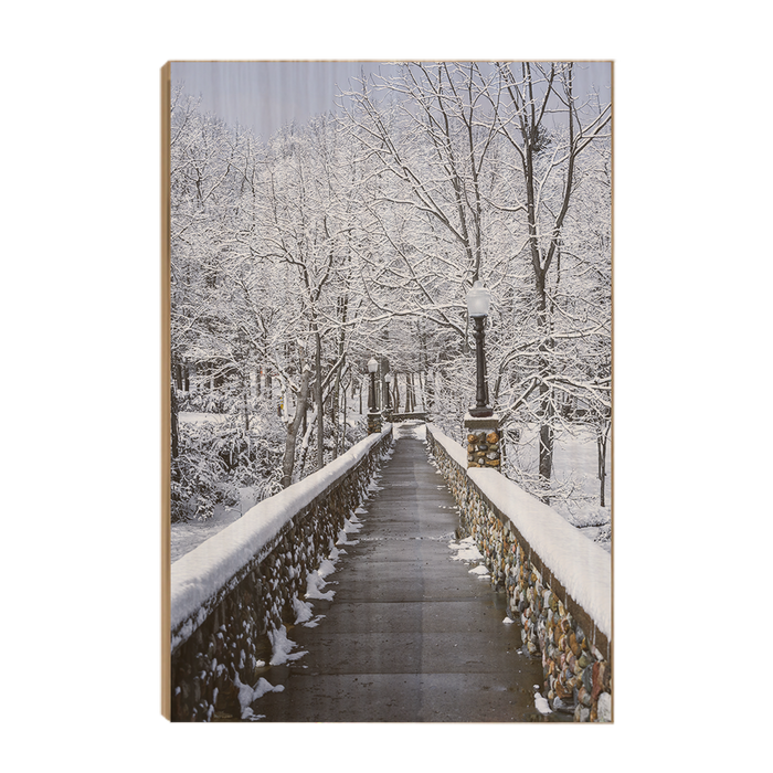Winter Bridge - College Wall Art#Wood