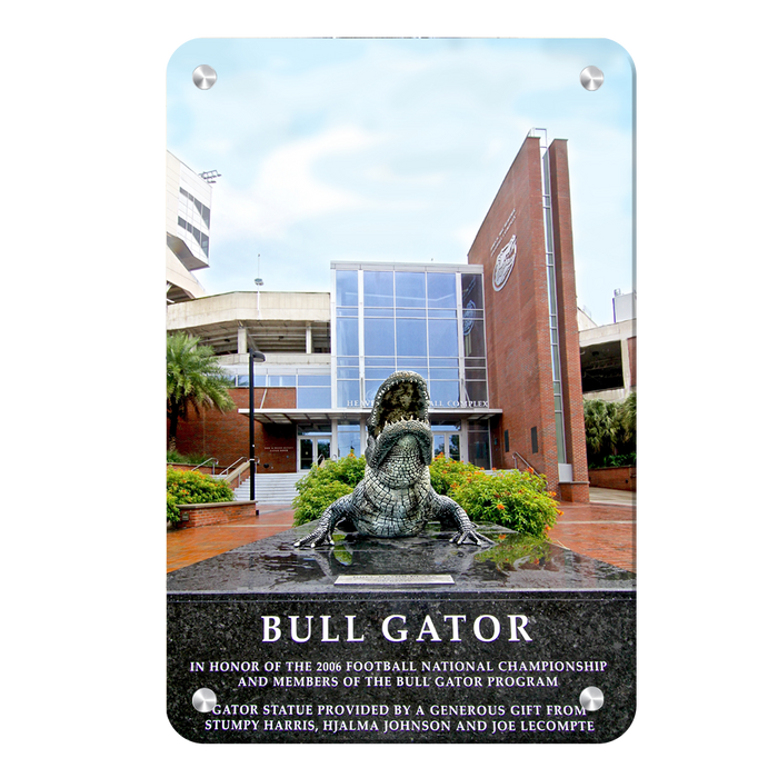 Florida Gators - Bull Gator - College Wall Art #Metal