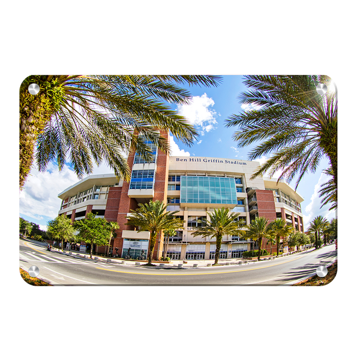 Florida Gators - Fisheye View Ben Hill Griffin Stadium - College Wall Art #Metal