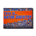 Florida Gators - Gator Country - College Wall Art #CAnvas