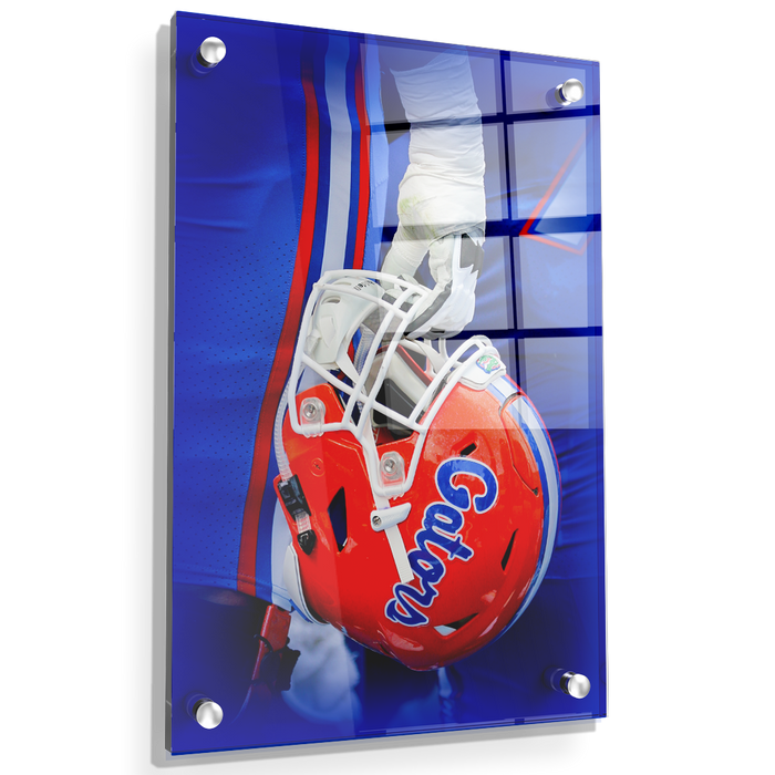 Florida Gators - Warrior - College Wall Art #Acrylic
