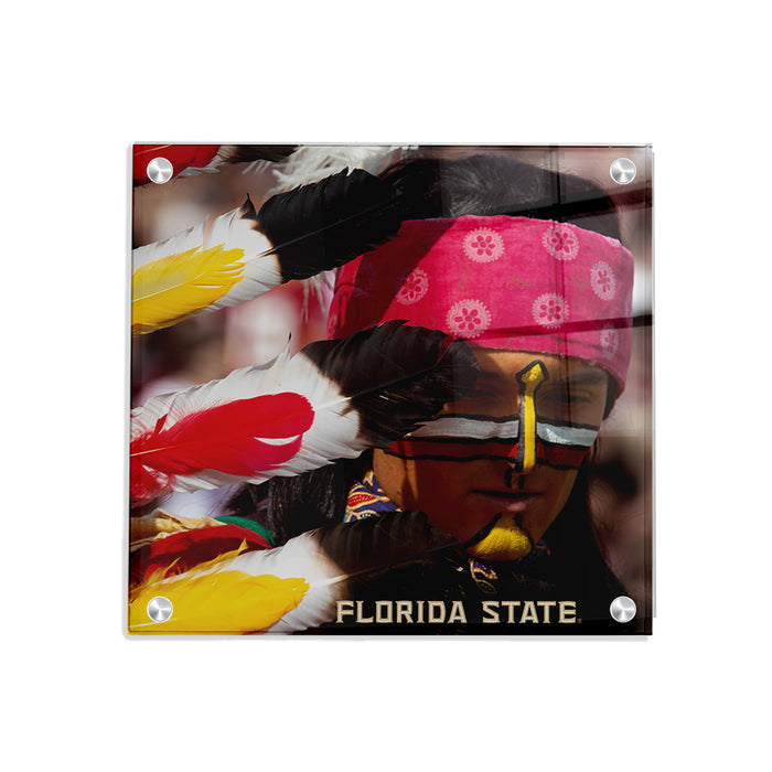 Florida State Seminoles - Florida State Seminole - College Wall Art #Acrylic