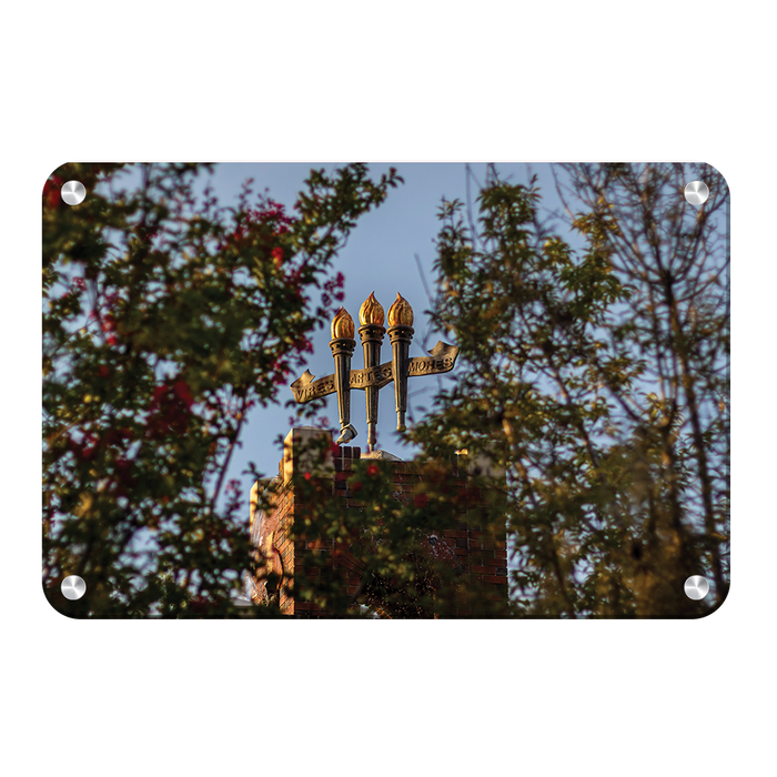 Florida State Seminoles - Framed Torches Close-up - College Wall Art #Metal