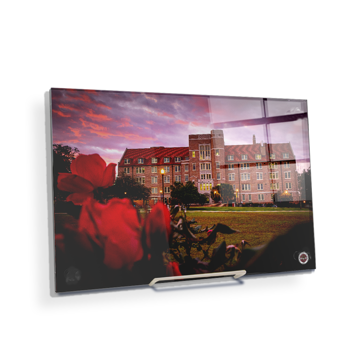 Florida State Seminoles - Red Sunrise Over Landis - College Wall Art #Acrylic  Mini