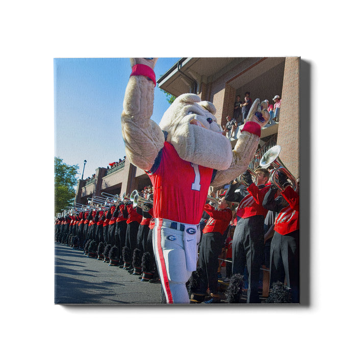 Georgia Bulldogs - Hairy Dawg Walk - College Wall Art #Canvas