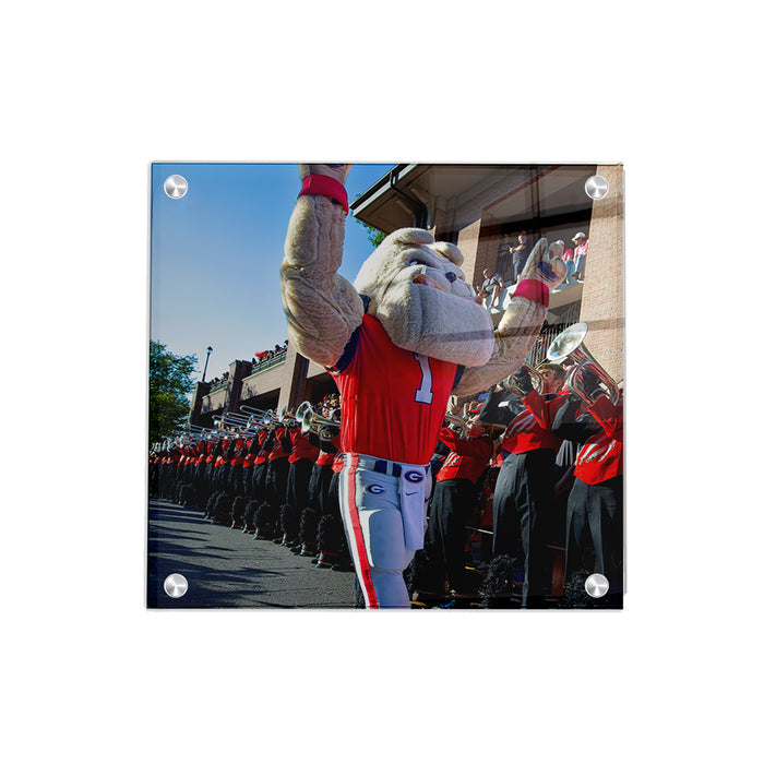 Georgia Bulldogs - Hairy Dawg Walk - College Wall Art #Acrylic