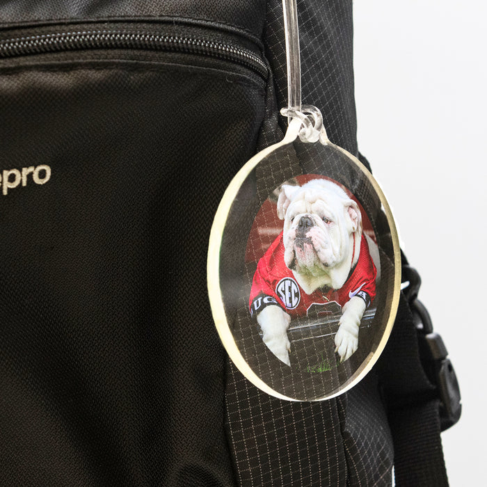 Georgia Bulldogs - Uga Chillin' Ornament & Bag Tag