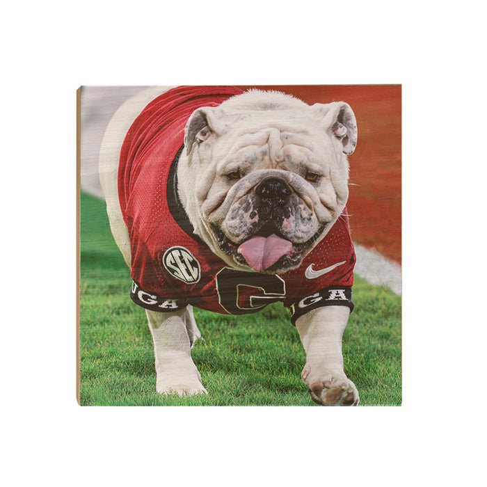 Georgia Bulldogs - Uga XI Boom - College Wall Art #Wood
