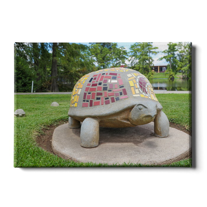 Louisiana Monroe Warhawks - Bayou Park - College Wall Art #Canvas