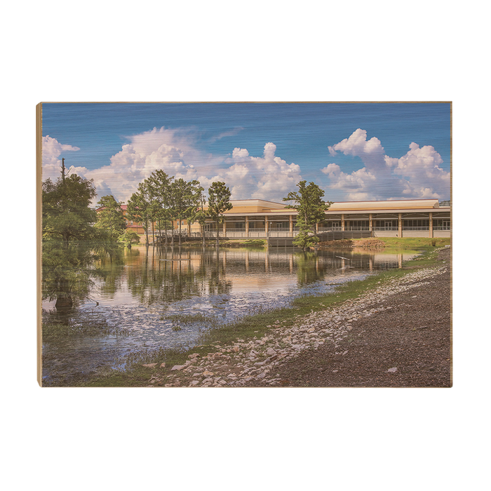 Louisiana Monroe Warhawks - Bayou Pointe - College Wall Art #Wood Art