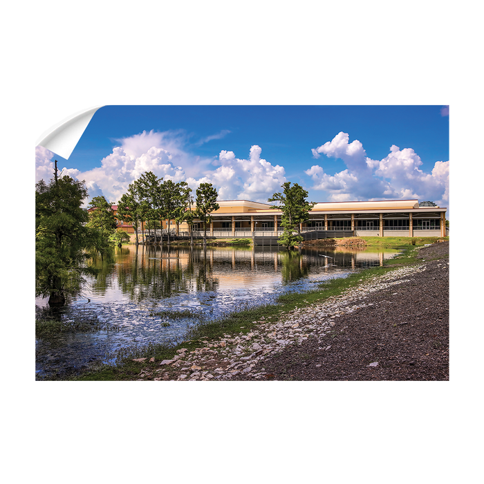 Louisiana Monroe Warhawks - Bayou Pointe - College Wall Art #Wall Decal