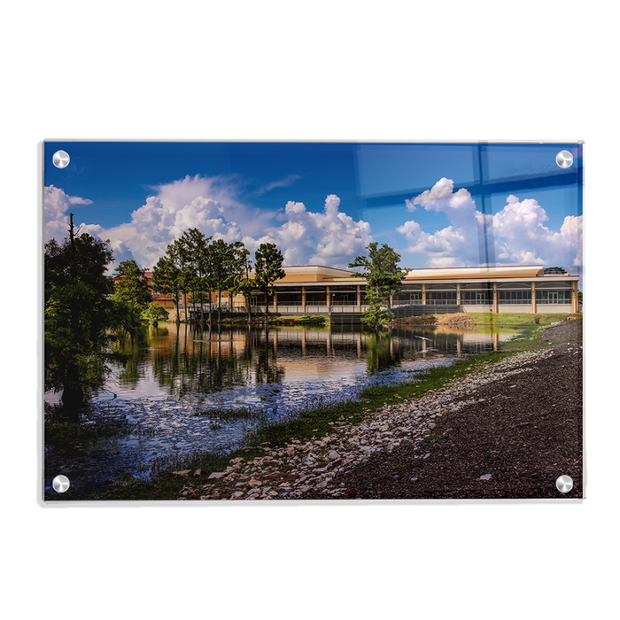 Louisiana Monroe Warhawks - Bayou Pointe - College Wall Art #Acrylic