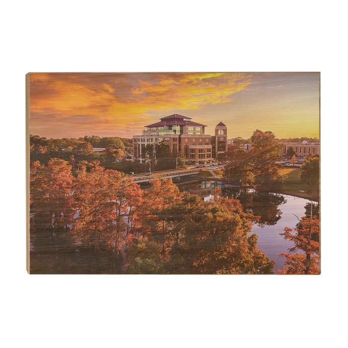 Louisiana Monroe Warhawks - Fall Bayou from Above - College Wall Art #Wood Art
