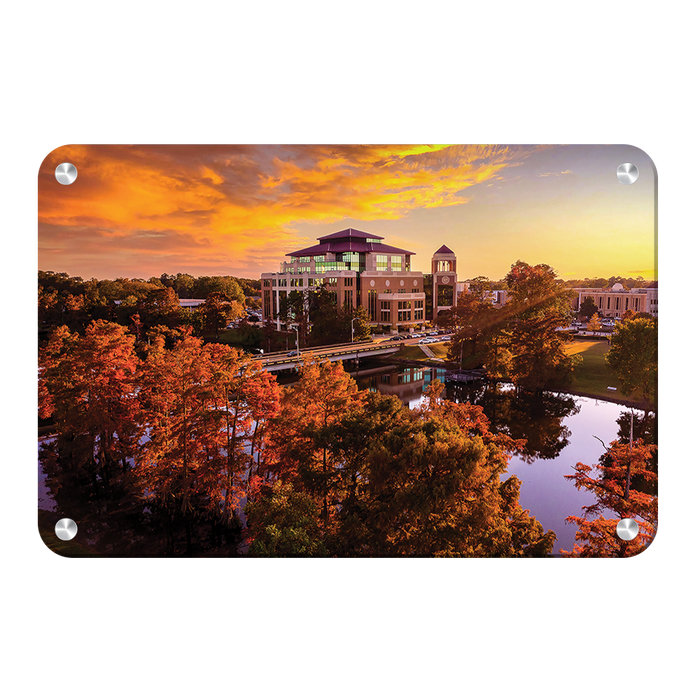 Louisiana Monroe Warhawks - Fall Bayou from Above - College Wall Art #Metal Art