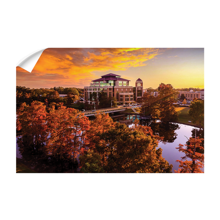 Louisiana Monroe Warhawks - Fall Bayou from Above - College Wall Art #Wall Decal