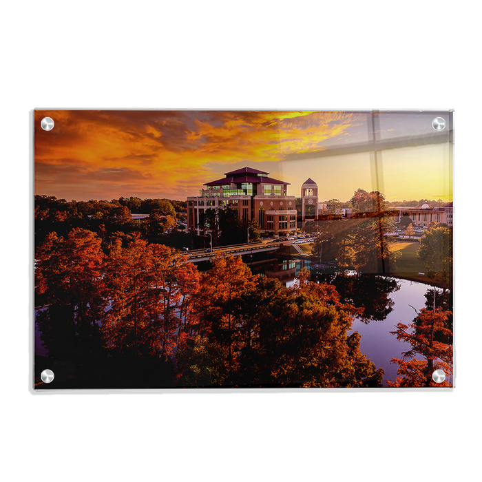Louisiana Monroe Warhawks - Fall Bayou from Above - College Wall Art #Acrylic