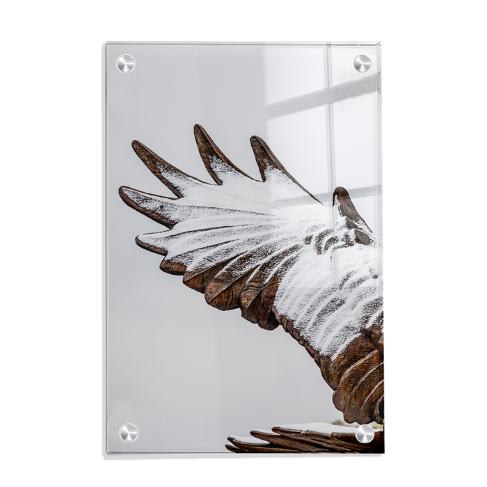 Louisiana Monroe Warhawks - Morning Snow - College Wall Art #Acrylic
