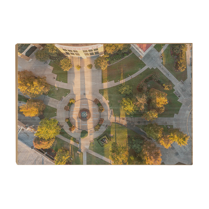 Louisiana Monroe Warhawks - The Best is on the Bayou - College wall Art #Wood Art