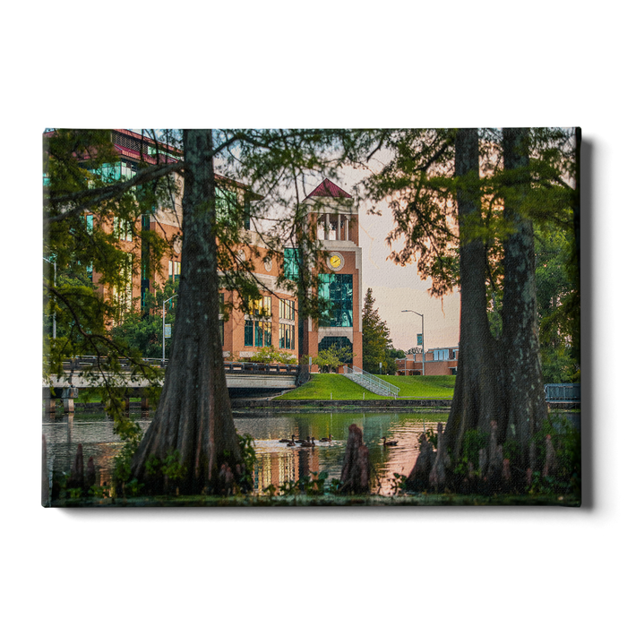 Louisiana Monroe Warhawks - Through the Bayou - College Wall Art #Canvas