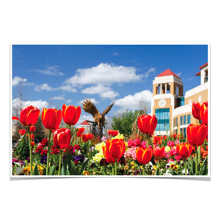 Louisiana Monroe Warhawks - ULM Tulips - College Wall Art #Photo Posters