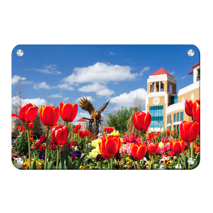 Louisiana Monroe Warhawks - ULM Tulips - College Wall Art #Metal Art