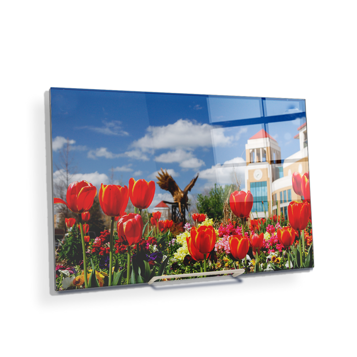 Louisiana Monroe Warhawks - ULM Tulips - College Wall Art #Acrylic Mini