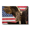 Louisiana Monroe Warhawks - Warhawk Stars and Stripes - College Wall Art #Canvas