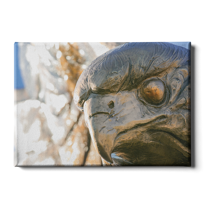 Louisiana Monroe Warhawks - Warhawk - College Wall Art #Canvas