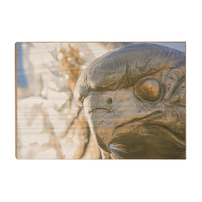 Louisiana Monroe Warhawks - Warhawk - College Wall Art #Wood Art