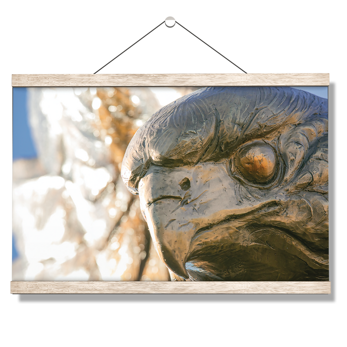 Louisiana Monroe Warhawks - Warhawk - College Wall Art #Hanging Canvas