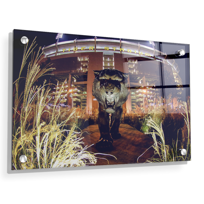 LSU Tigers - Tiger Night - College Wall Art #Acrylic