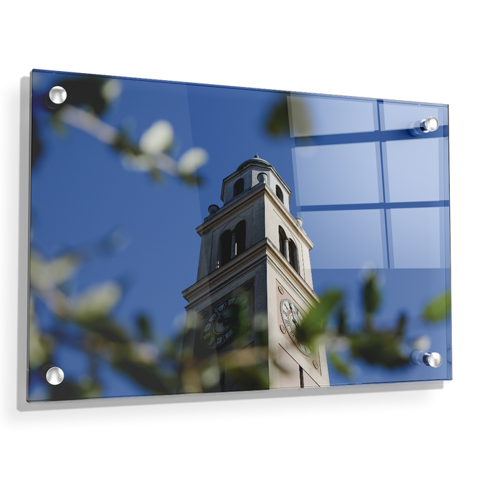 LSU Tigers - Tower Thru the Trees - College Wall Art #Acrylic