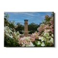 Michigan State - Benafactor Plaza Flowers - College Wall Art #Canvas
