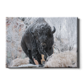 North Dakota State Bisons - Bison Snow - College Wall Art #Canvas
