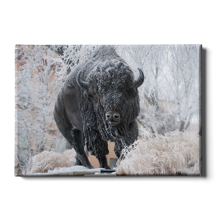 North Dakota State Bisons - Bison Snow - College Wall Art #Canvas