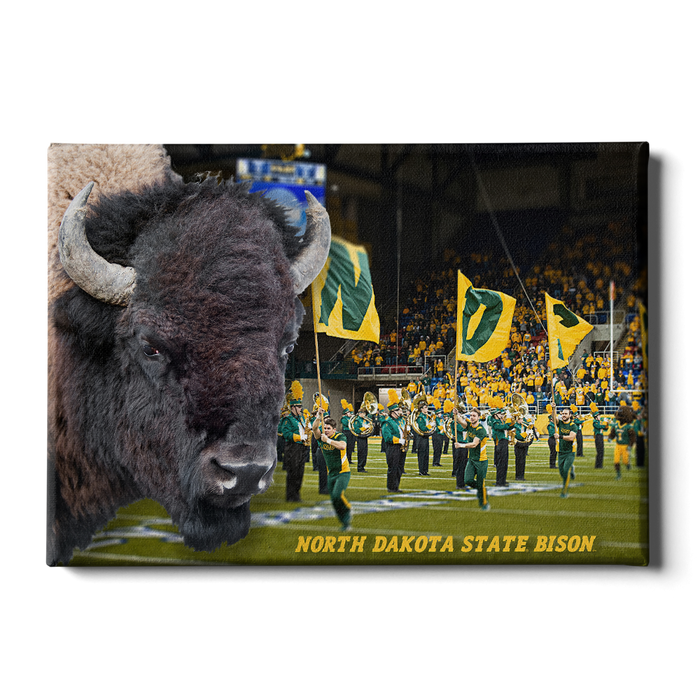 North Dakota State Bisons - Bison - College Wall Art #Canvas
